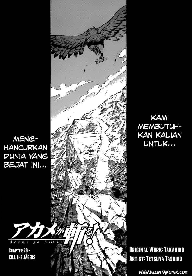 Akame ga KILL! Chapter 29