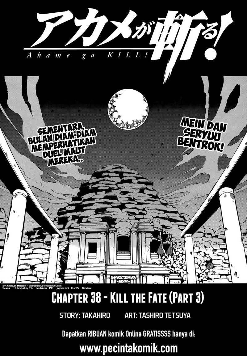 Akame ga KILL! Chapter 39