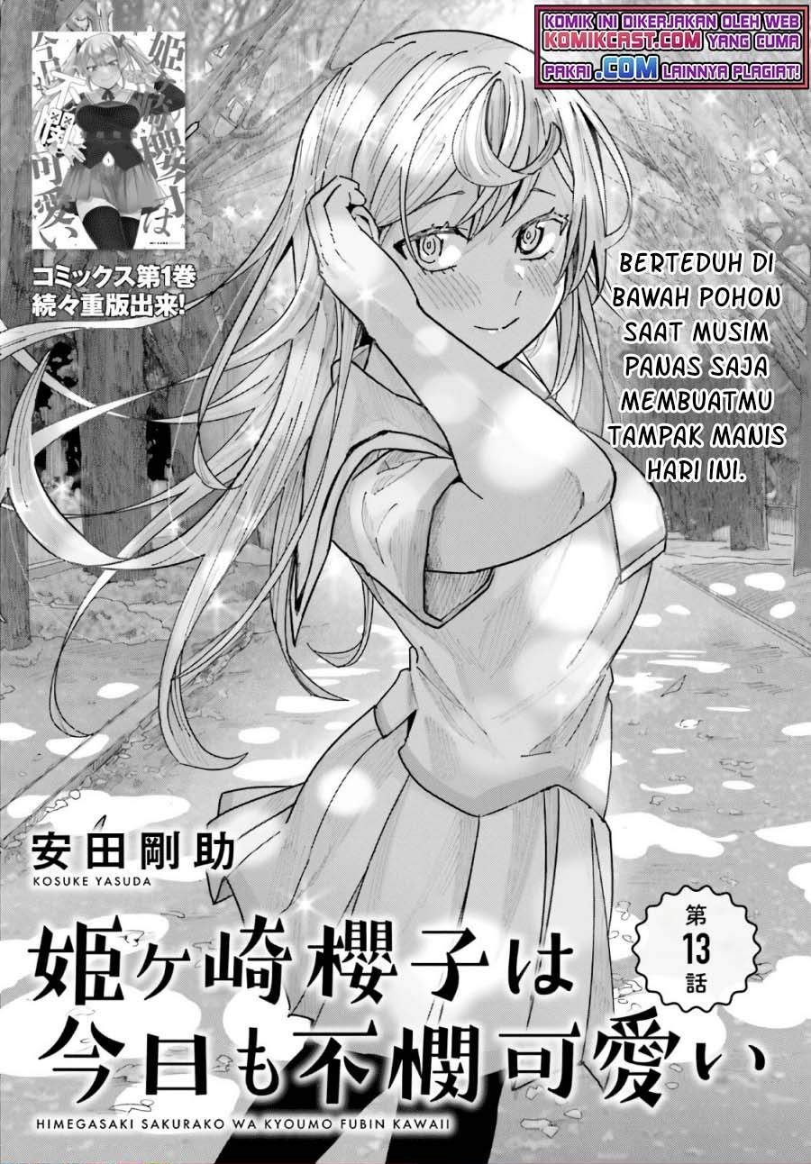 Himegasaki Sakurako wa Kyoumo Fubin Kawaii! Chapter 13