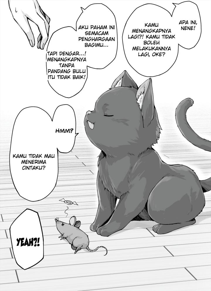 The Yandere Pet Cat is Overly Domineering Chapter 5