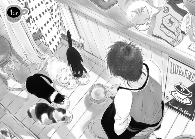Coffee & Cat Chapter 1