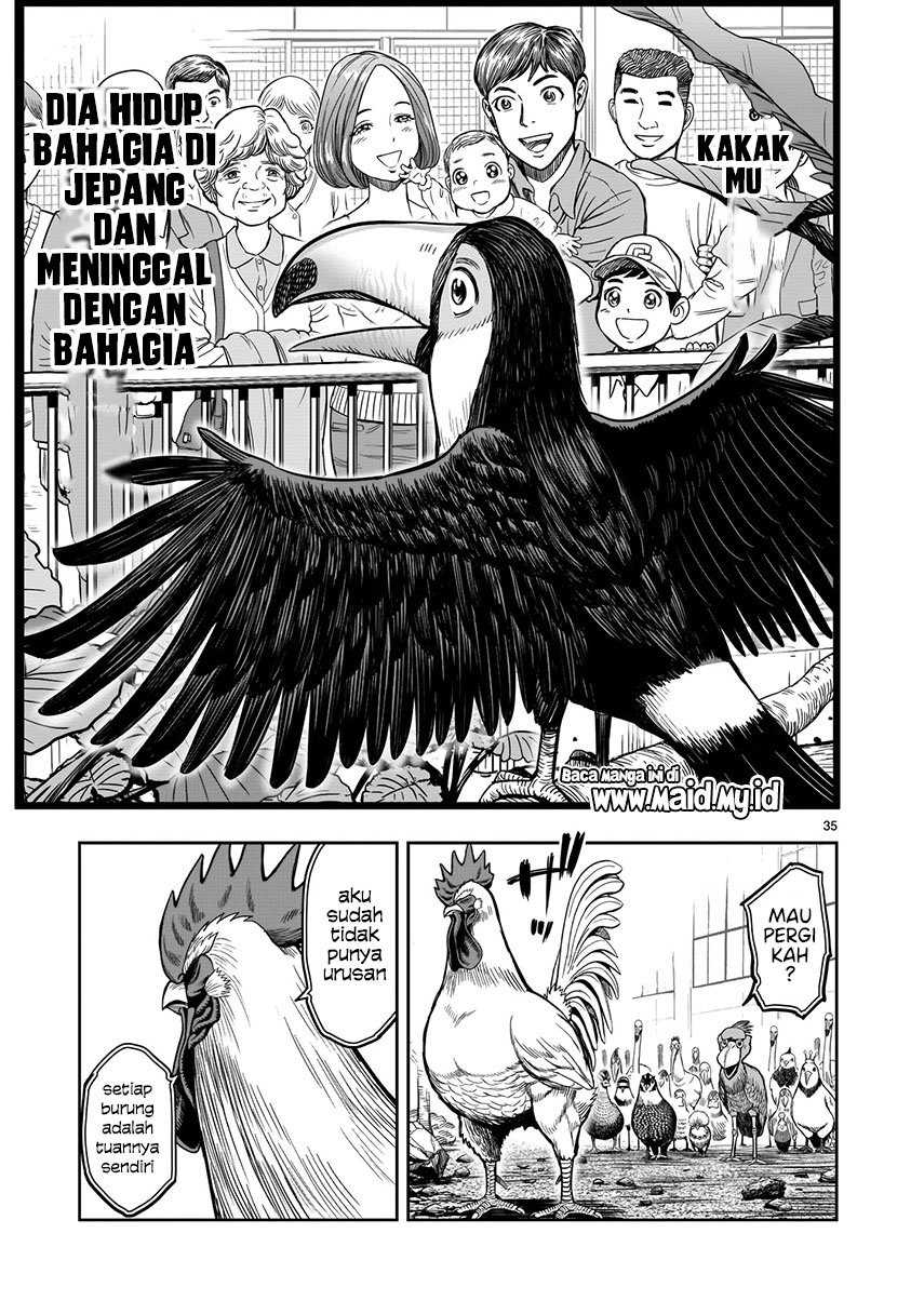 Rooster Fighter Chapter 3