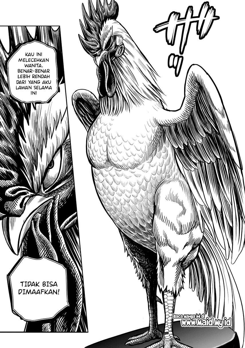 Rooster Fighter Chapter 6