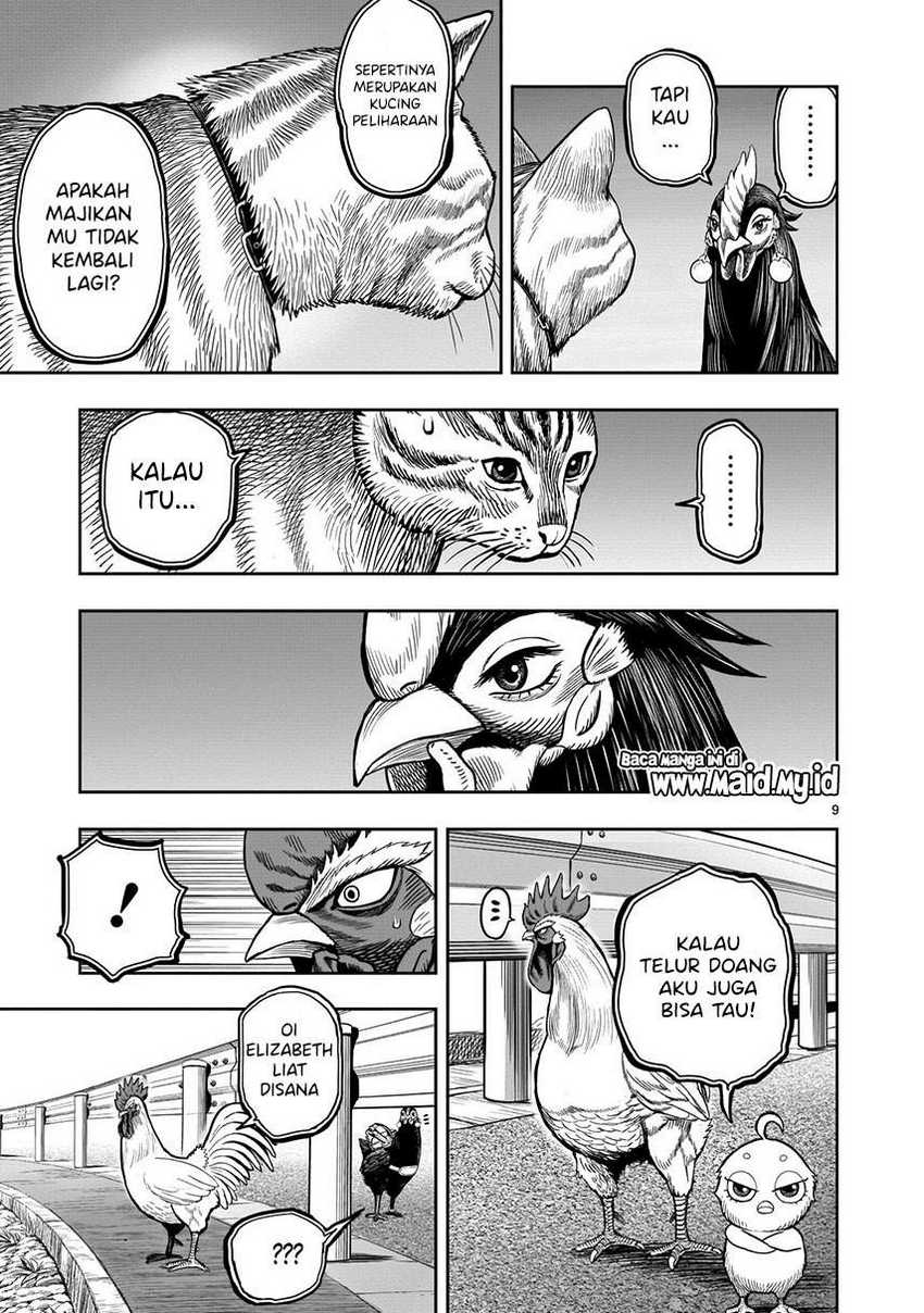 Rooster Fighter Chapter 9