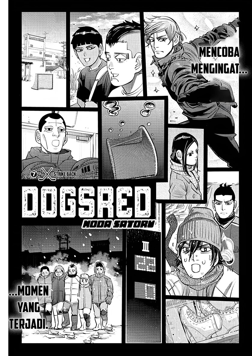 DOGSRED Chapter 7
