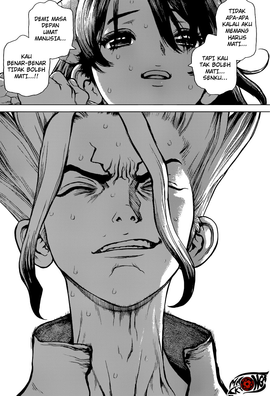 Dr. Stone Chapter 09