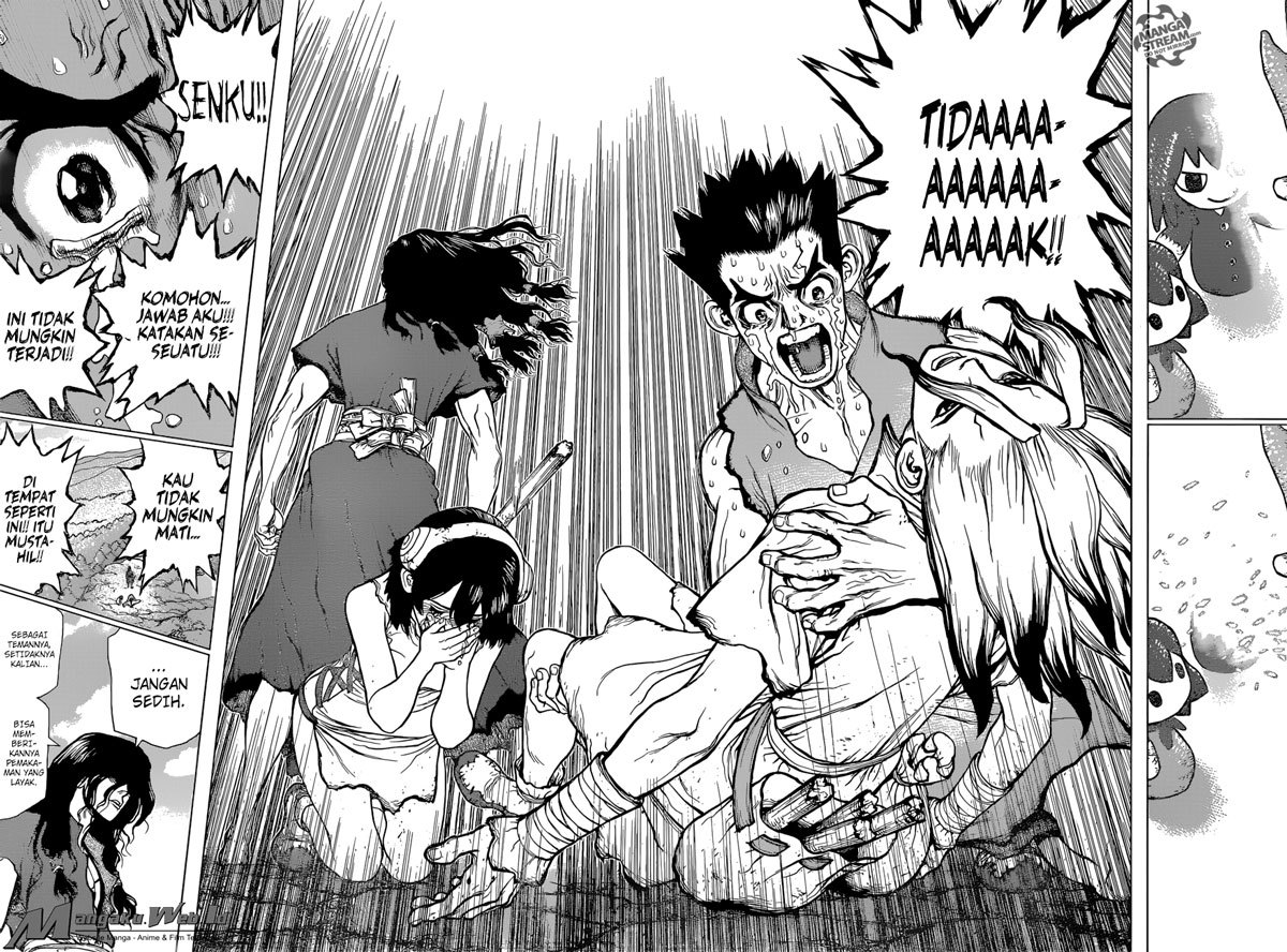 Dr. Stone Chapter 11