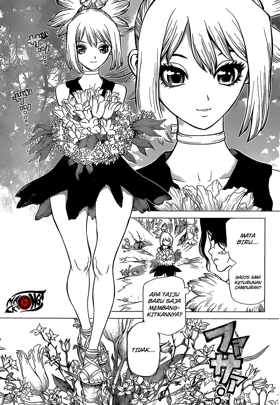 Dr. Stone Chapter 16