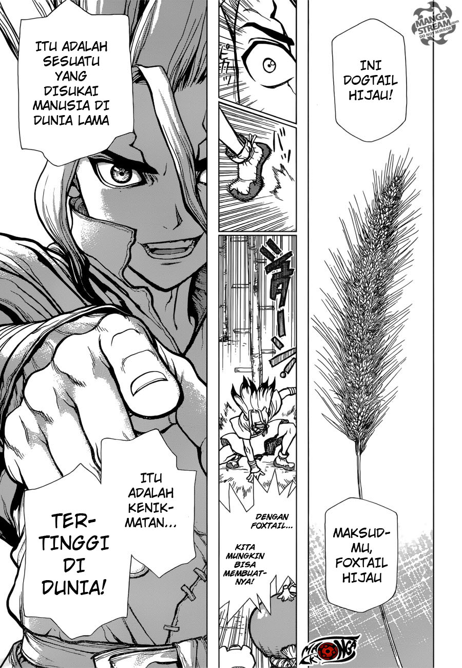 Dr. Stone Chapter 22