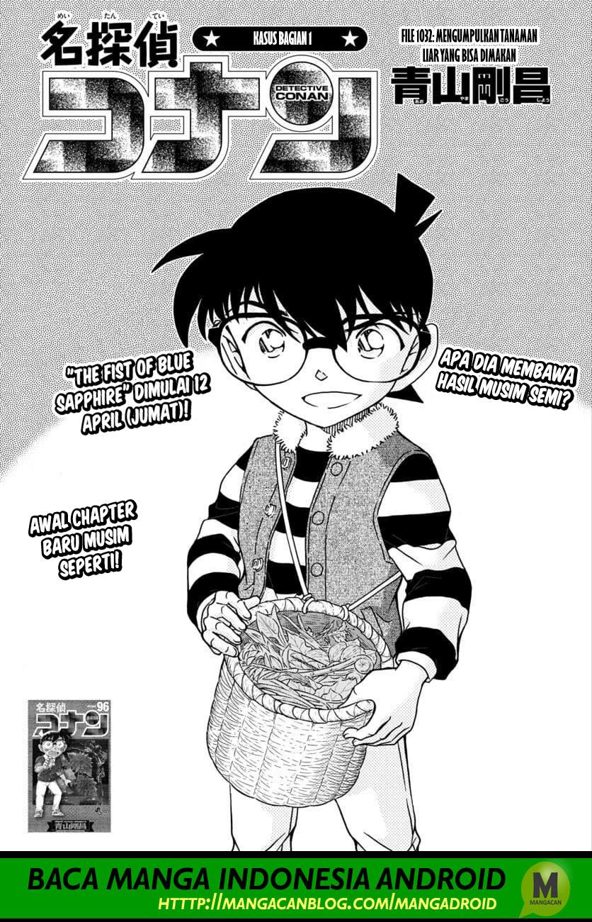 Detective Conan Chapter 1032