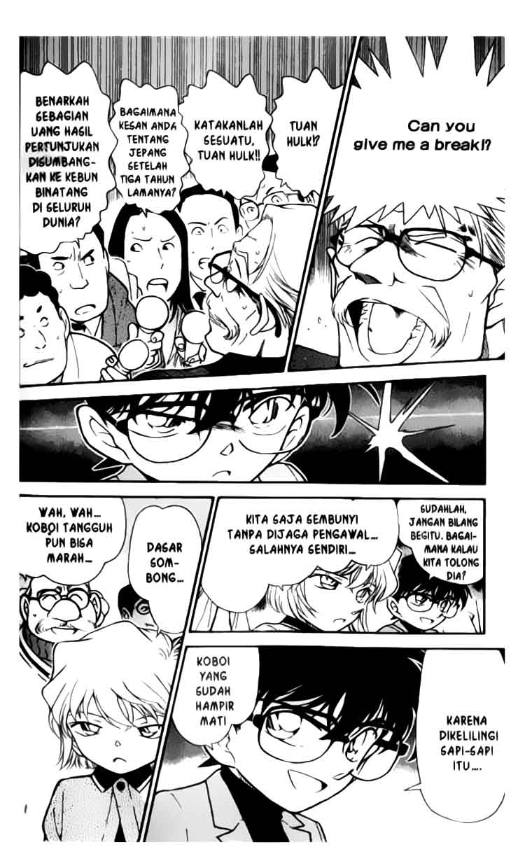 Detective Conan Chapter 325