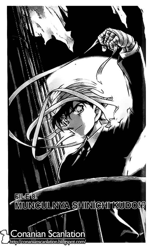 Detective Conan Chapter 432