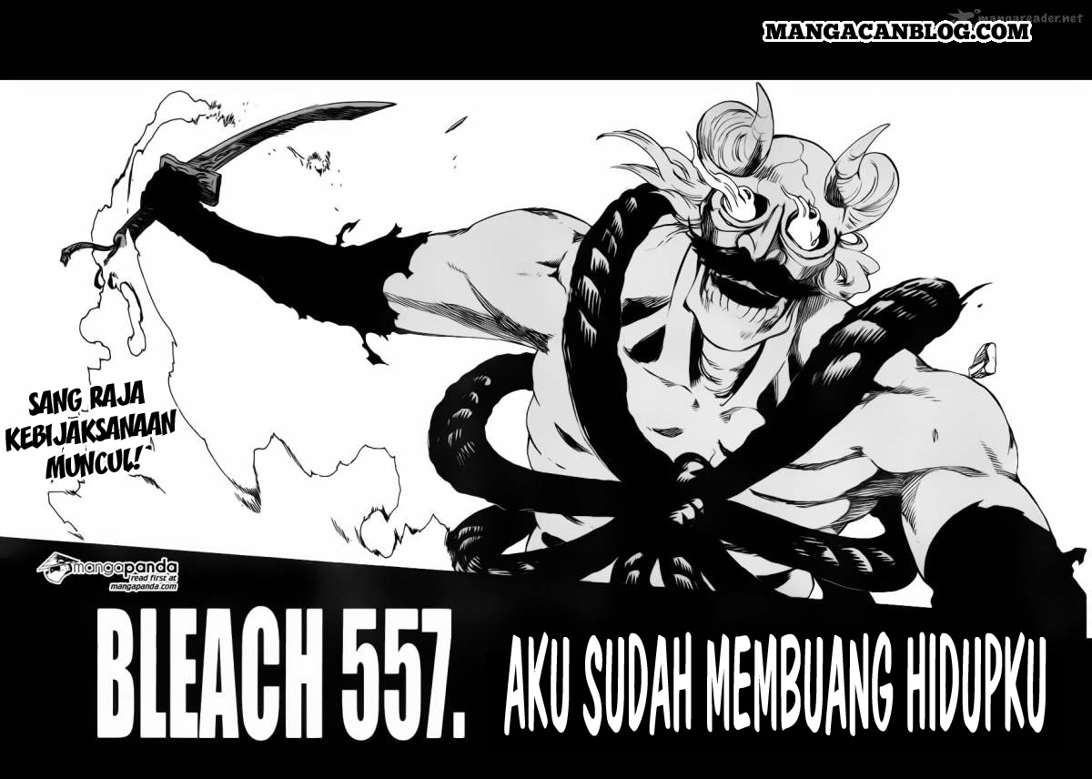 Bleach Chapter 557