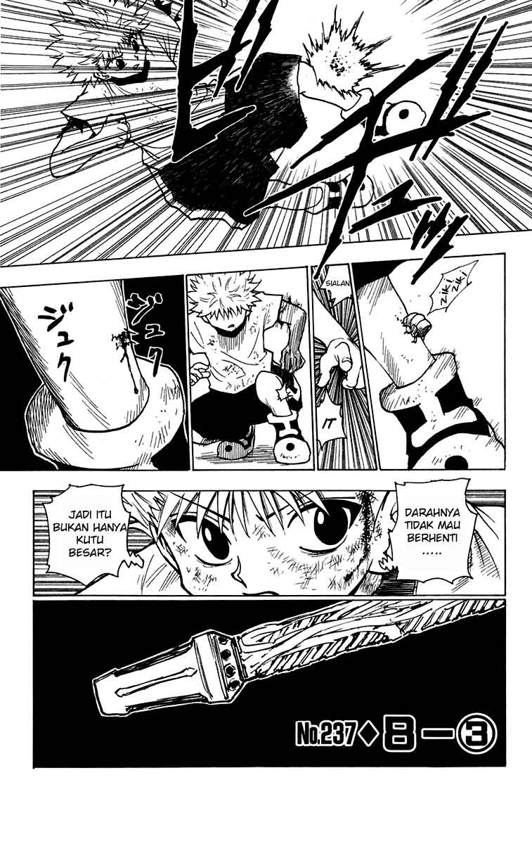 Hunter x Hunter Chapter 237