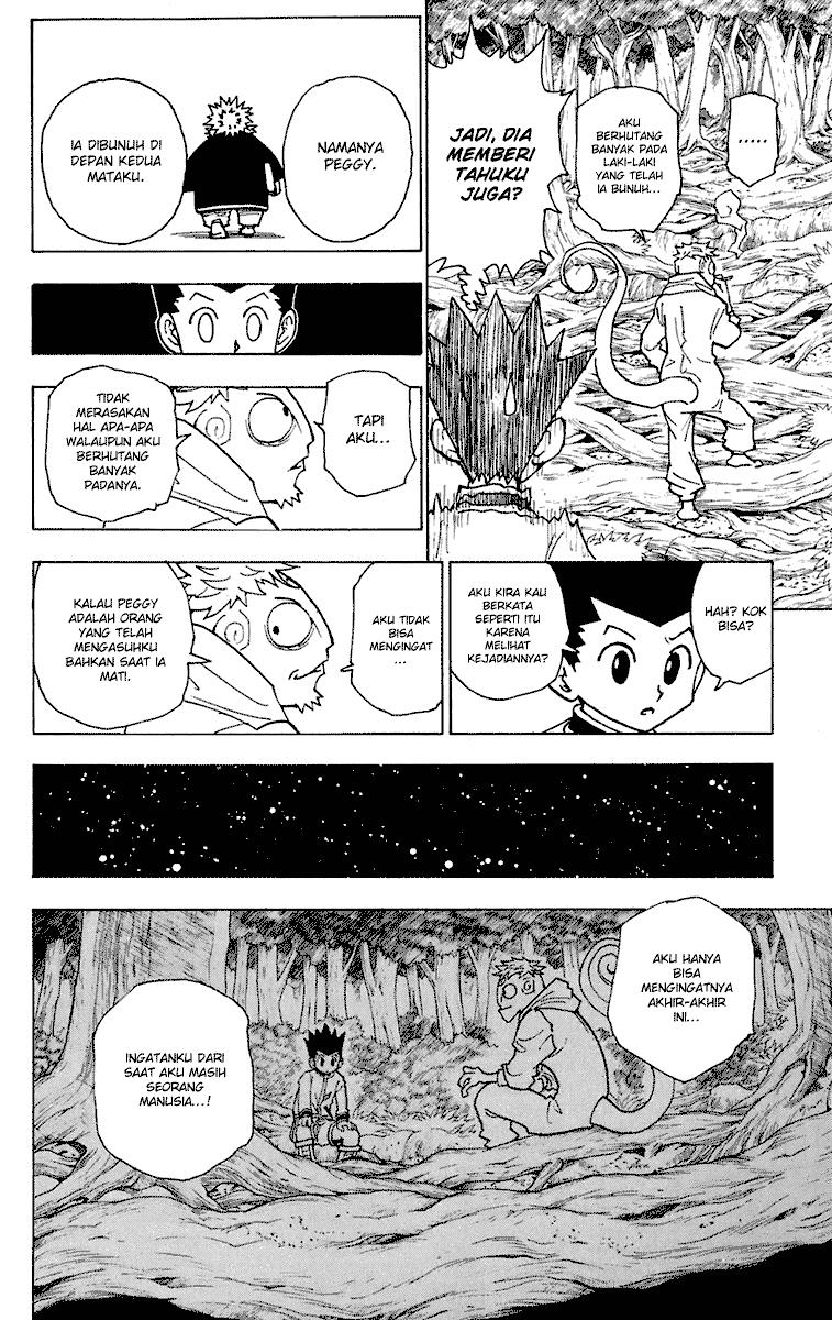 Hunter x Hunter Chapter 242