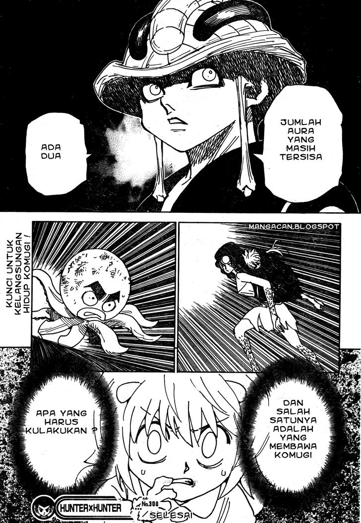 Hunter x Hunter Chapter 308