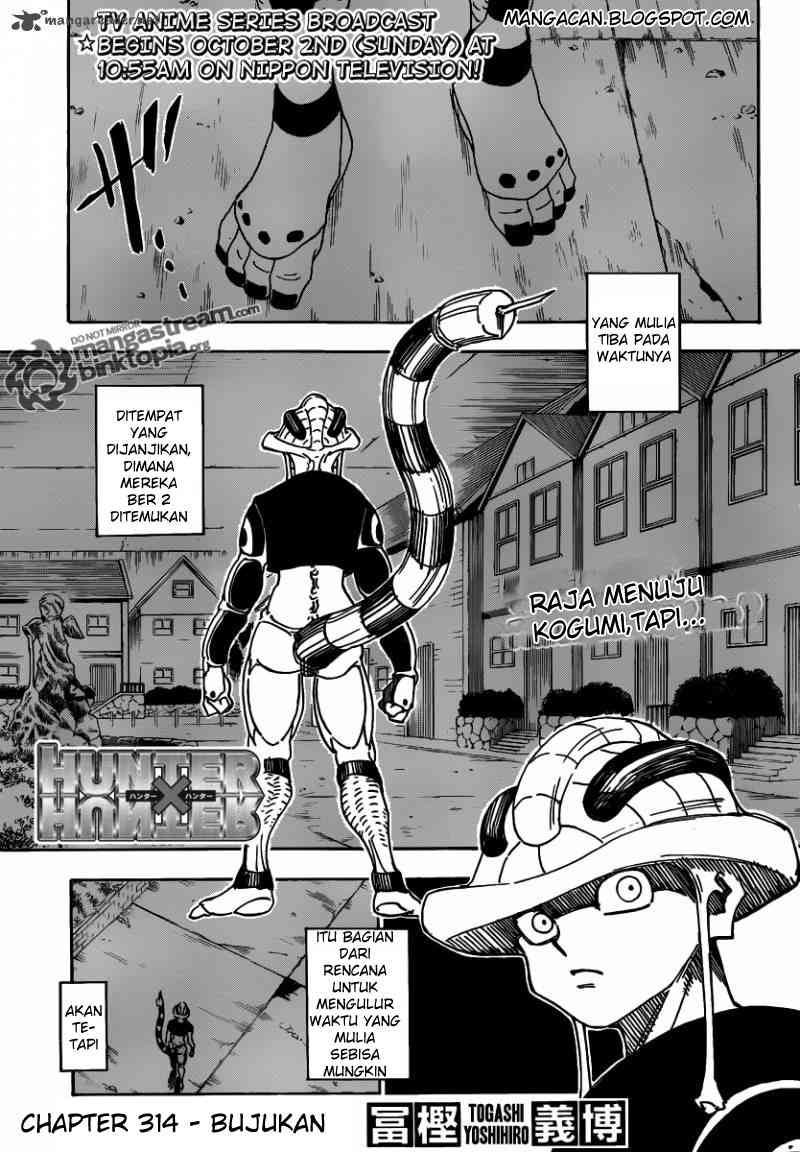 Hunter x Hunter Chapter 314