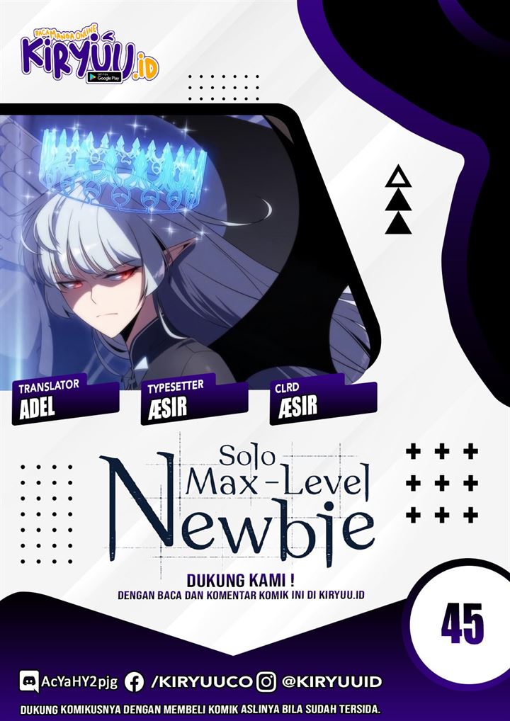Solo Max-Level Newbie Chapter 45