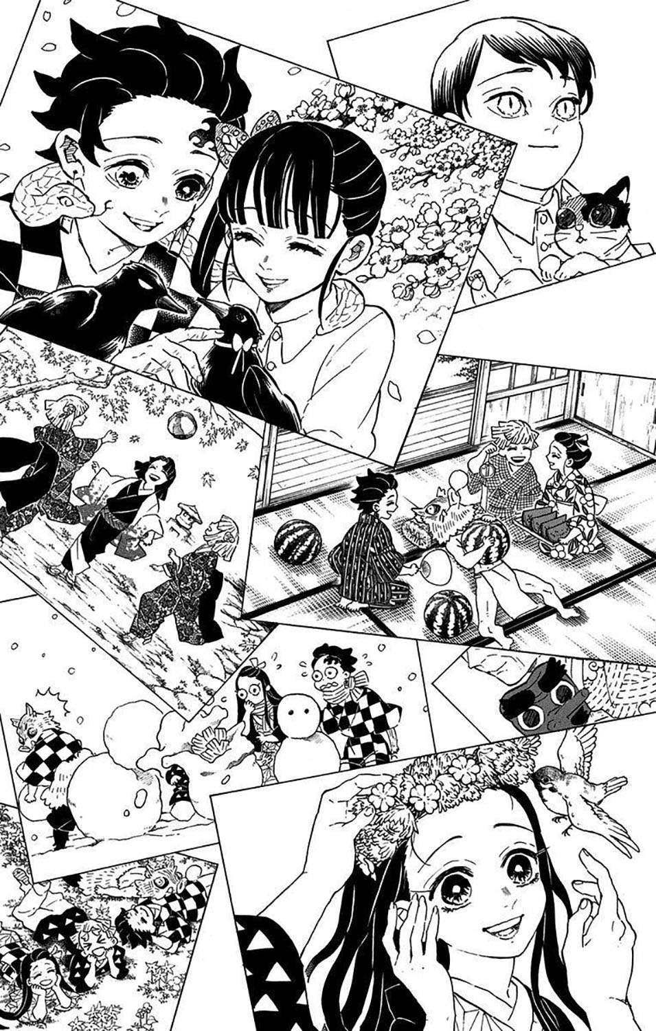 Kimetsu no Yaiba Chapter 205.6