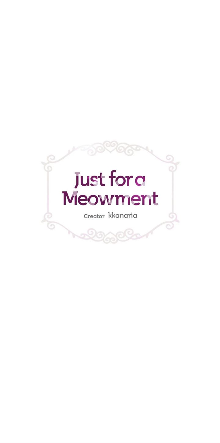 Just for a Meowment Chapter 67