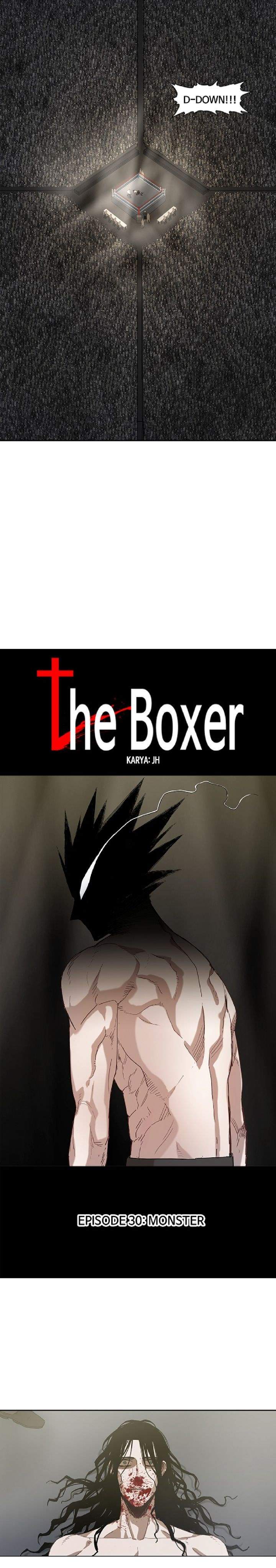 The Boxer Chapter 30