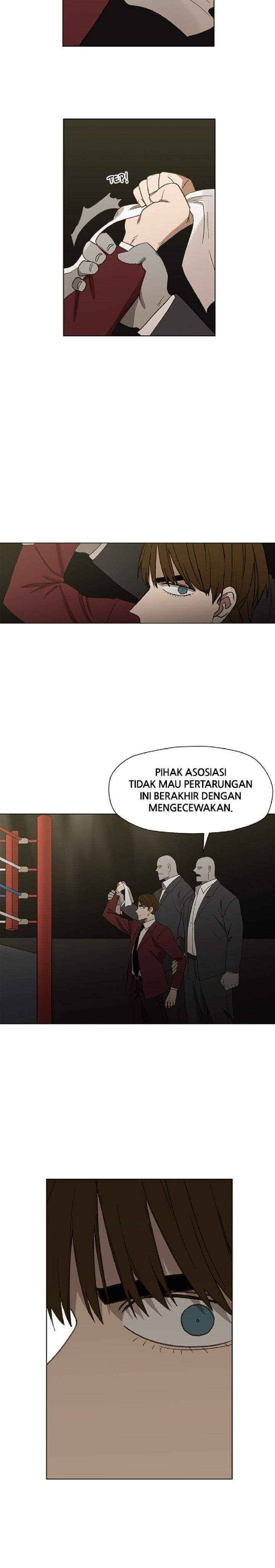 The Boxer Chapter 67