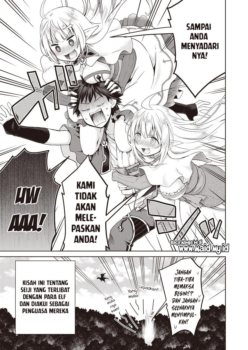 Dakara Katte Ni Yusha Toka Hao Ni Nintei Sun No Yamero Yo! Elf Zoku Mo Kokuo Sama Mo Hirefusu Hodo Ore Ha Idaina Yakuwarirashi Chapter 1