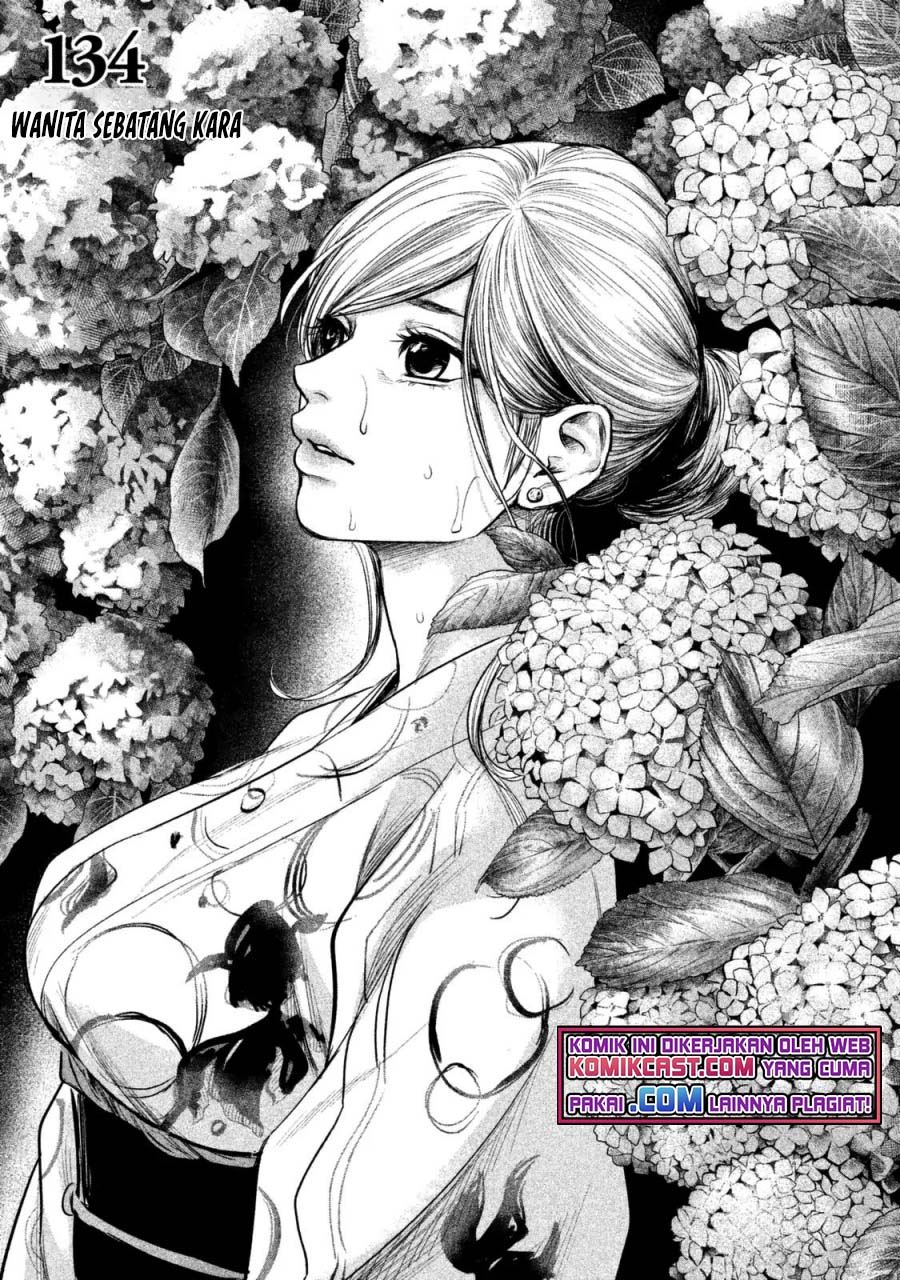 Hare Kon. Chapter 134