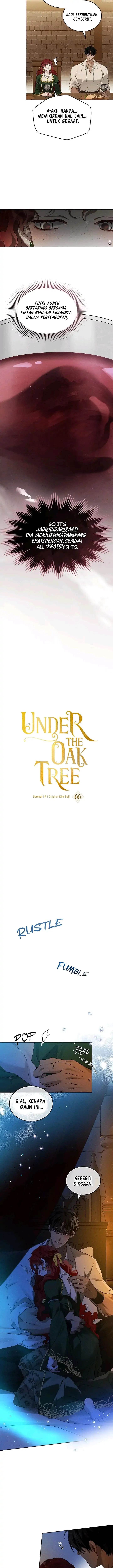 Under the Oak Tree Chapter 66