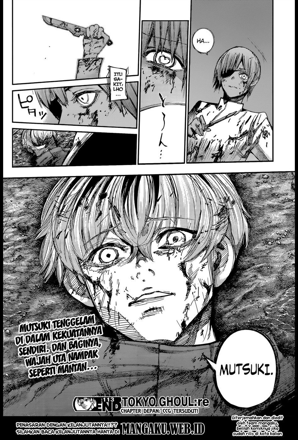 Tokyo Ghoul:re Chapter 113