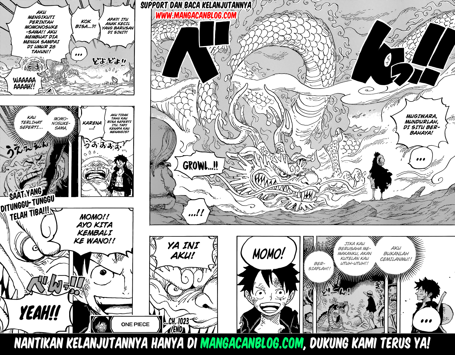 One Piece Chapter 1023