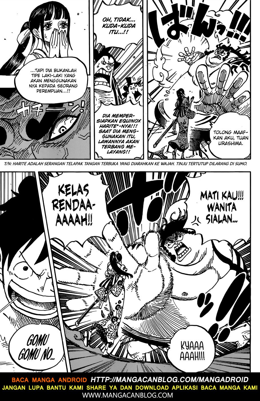 One Piece Chapter 916