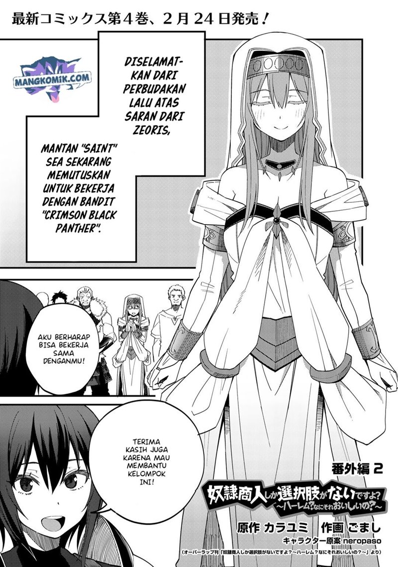 Dorei Shounin shika Sentakushi ga nai desu yo? ~Harem? Nani sore oishii no?~ Chapter 26.5