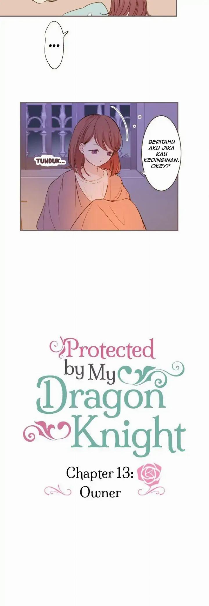 Protected by My Dragon Knight Chapter 13