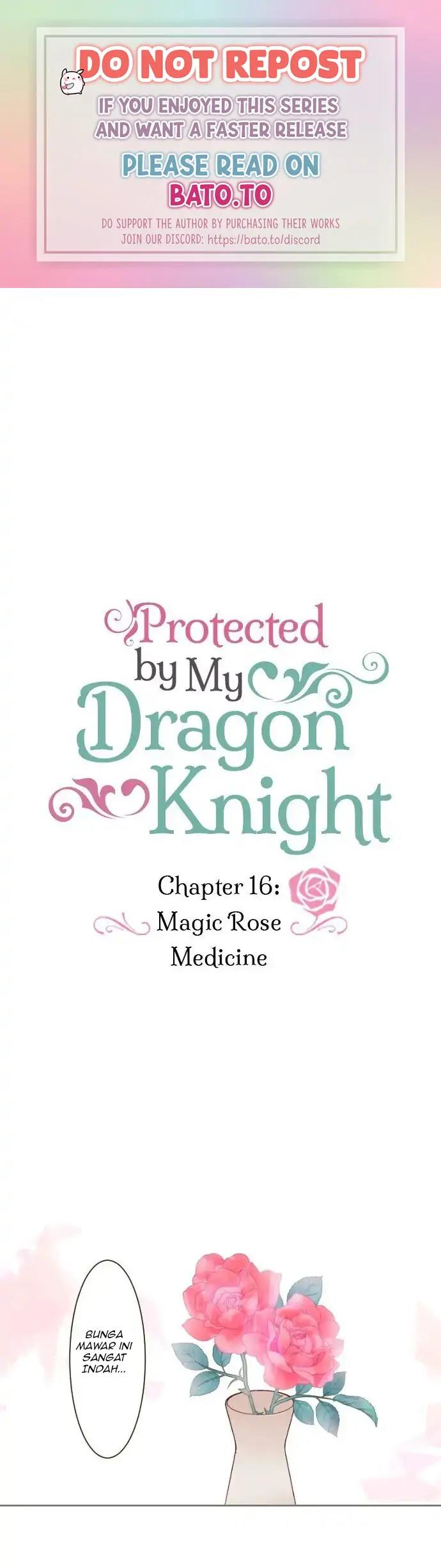 Protected by My Dragon Knight Chapter 16