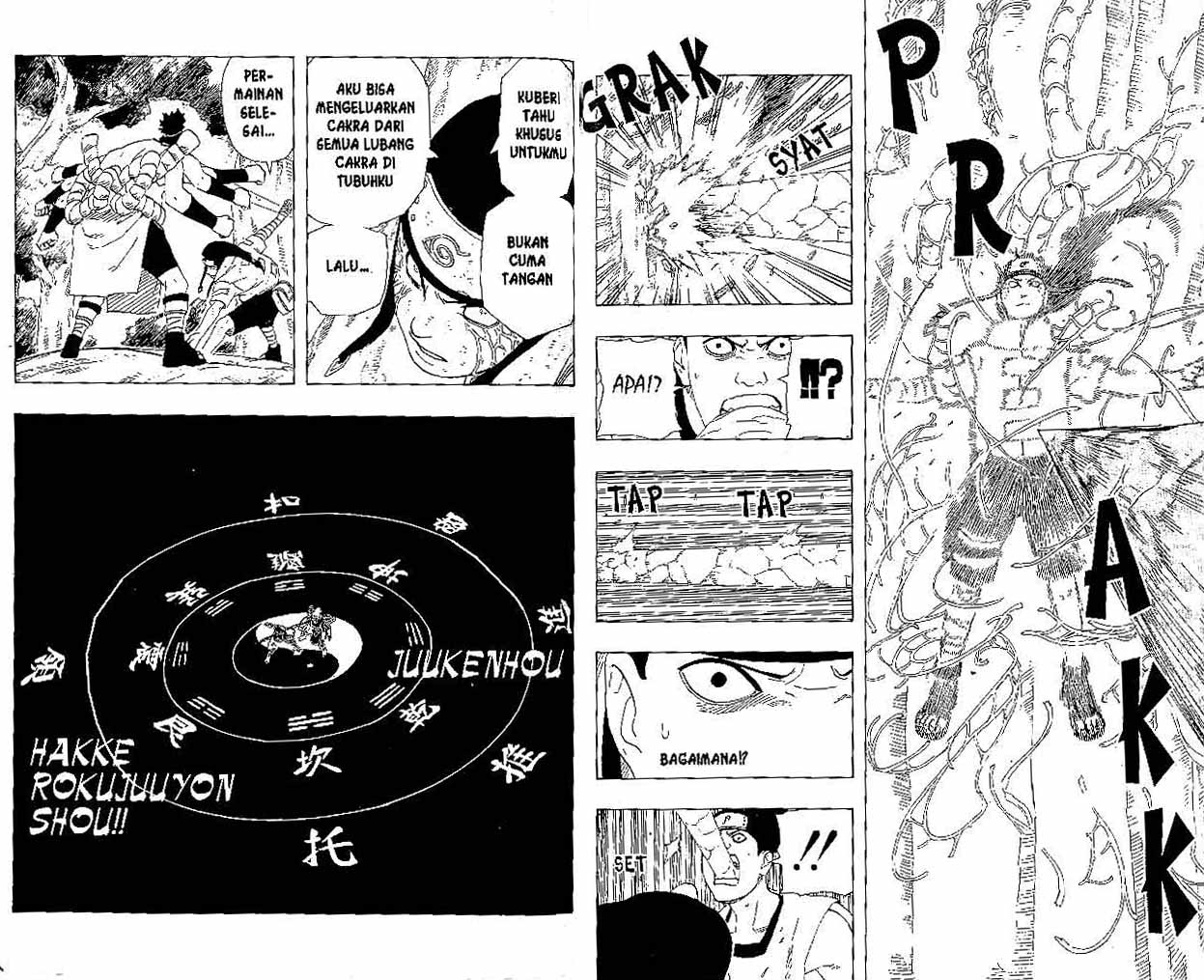 Naruto Chapter 193