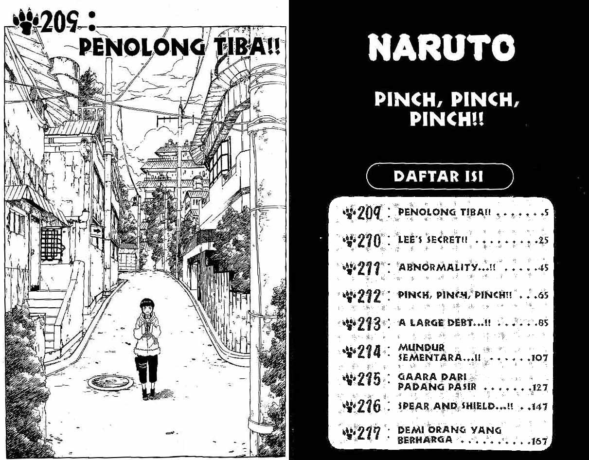 Naruto Chapter 209