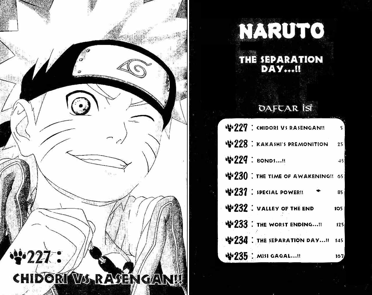 Naruto Chapter 227