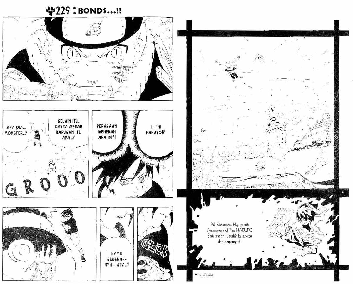 Naruto Chapter 229