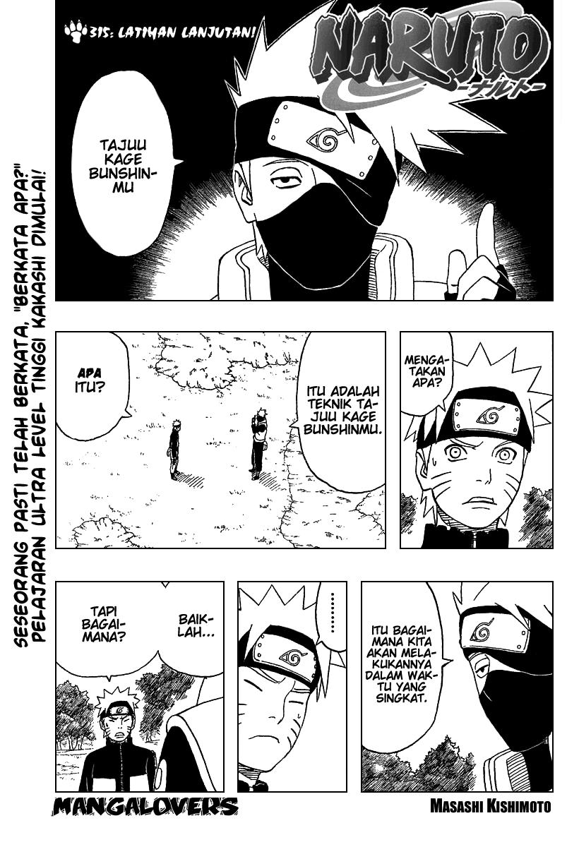 Naruto Chapter 315