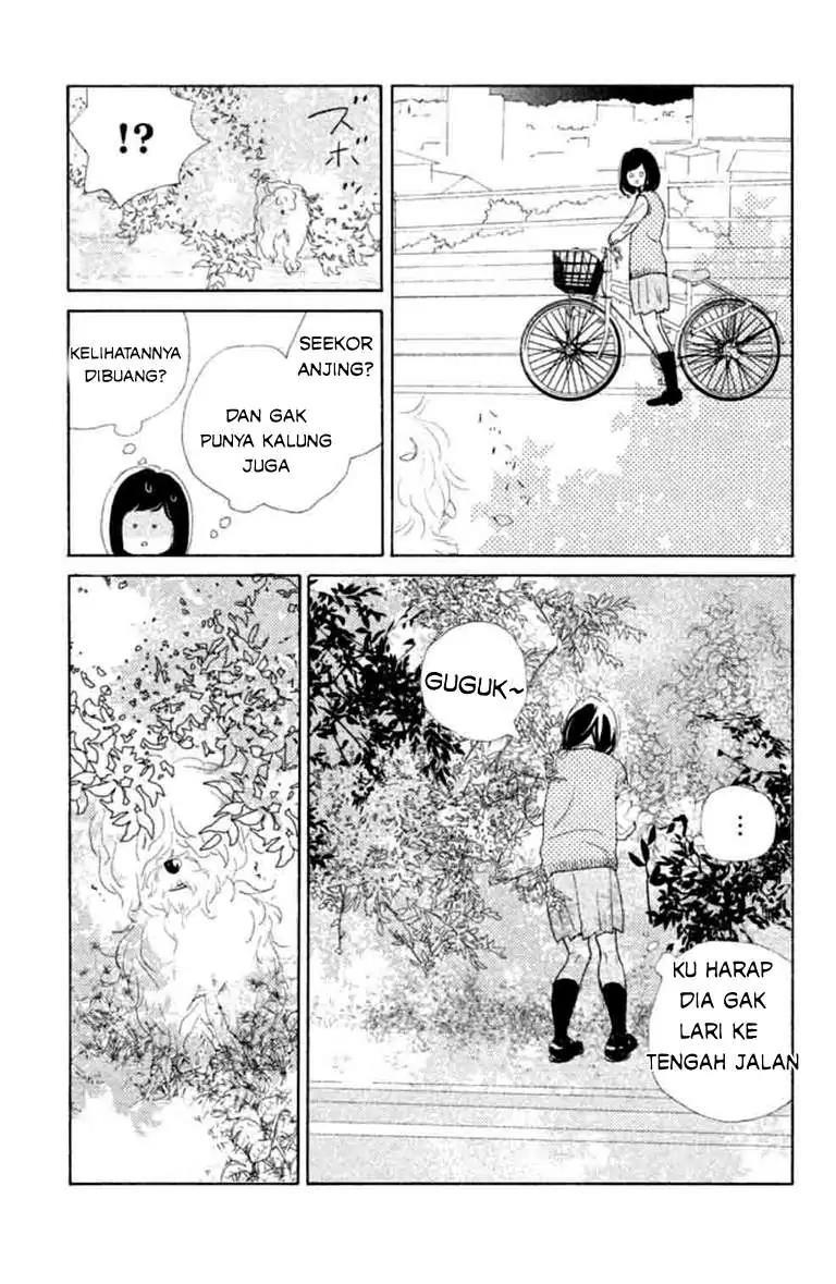 Sakura to Sensei Chapter 4