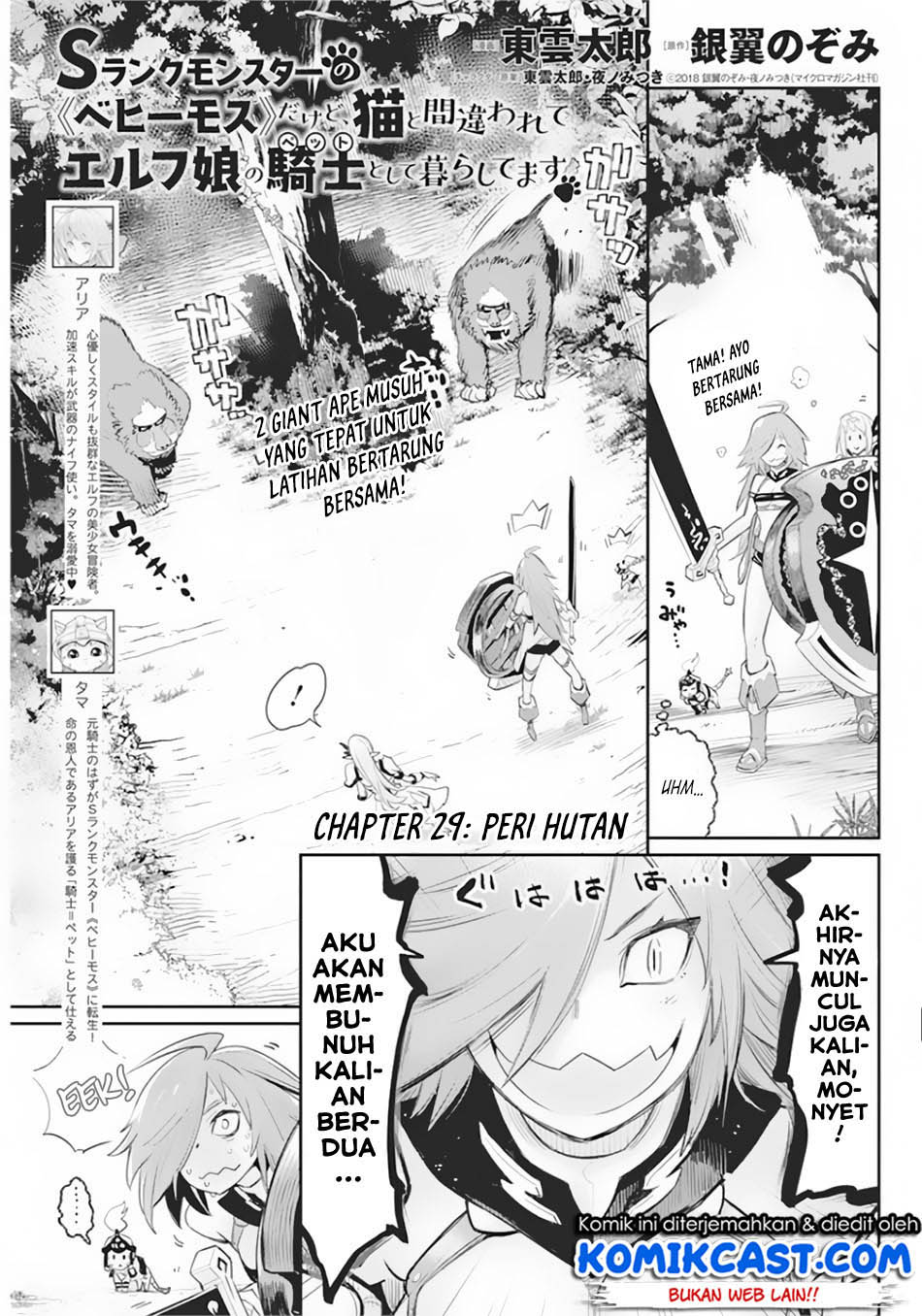 S-Rank Monster no Behemoth Dakedo, Neko to Machigawarete Erufu Musume no Kishi (Pet) Toshite Kurashitemasu Chapter 29