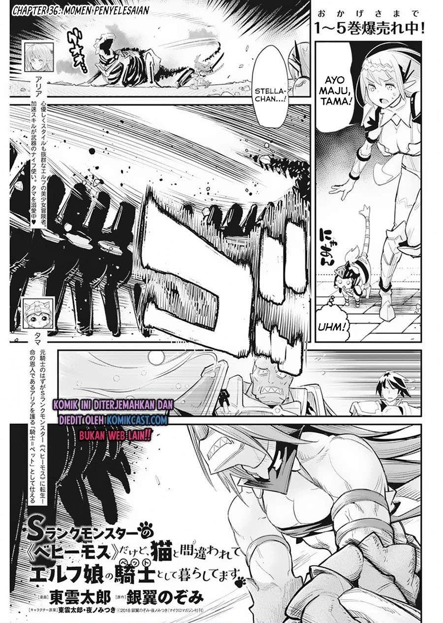 S-Rank Monster no Behemoth Dakedo, Neko to Machigawarete Erufu Musume no Kishi (Pet) Toshite Kurashitemasu Chapter 36