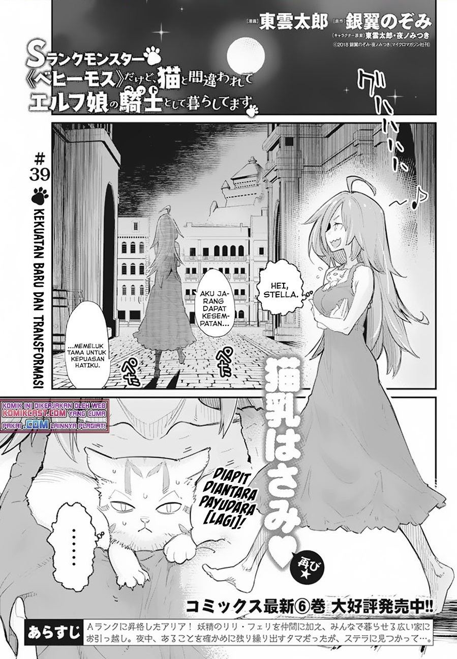 S-Rank Monster no Behemoth Dakedo, Neko to Machigawarete Erufu Musume no Kishi (Pet) Toshite Kurashitemasu Chapter 39