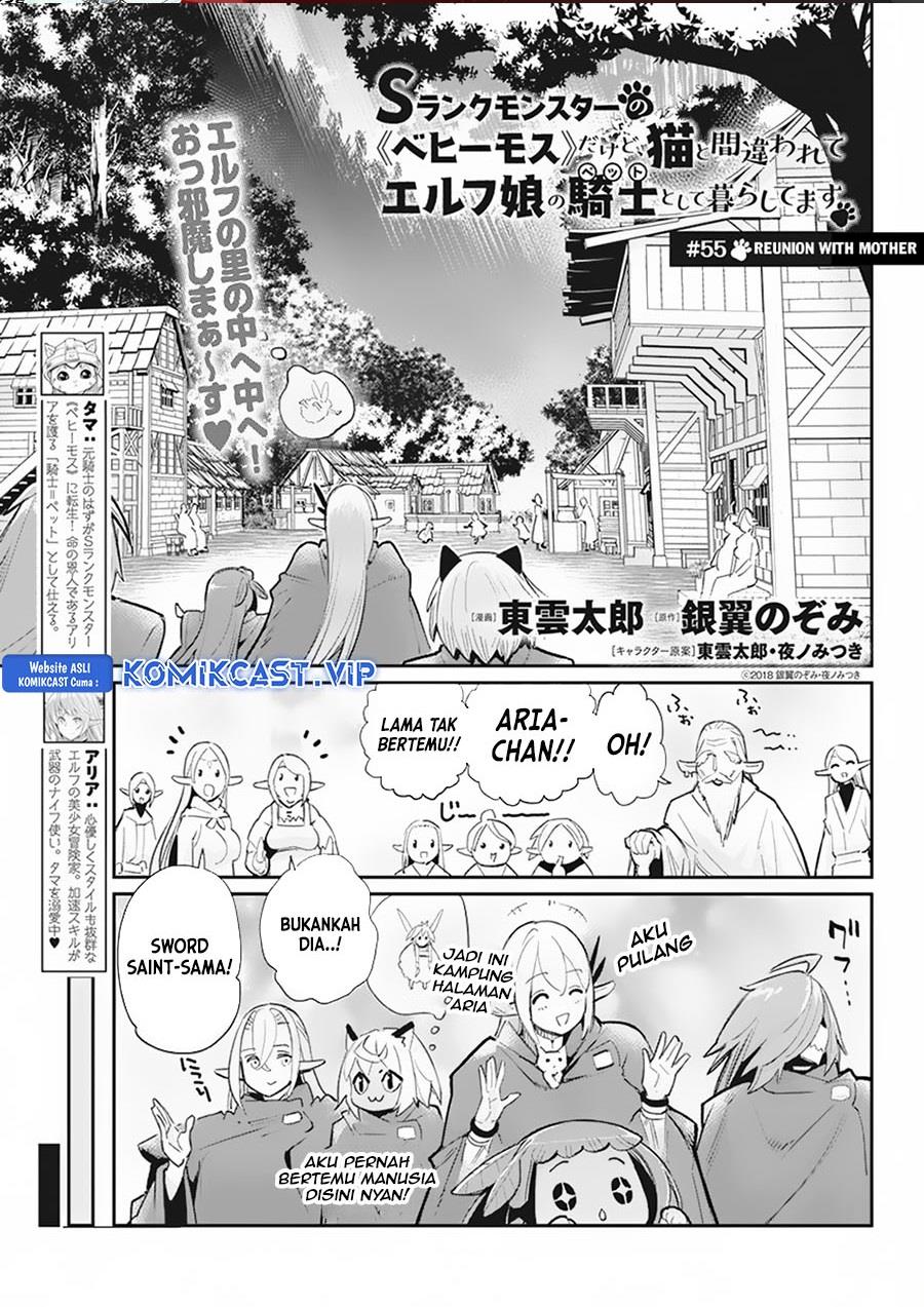 S-Rank Monster no Behemoth Dakedo, Neko to Machigawarete Erufu Musume no Kishi (Pet) Toshite Kurashitemasu Chapter 55